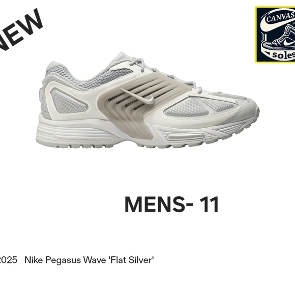 Nike Pegasus Wave Silver Men's Shoes